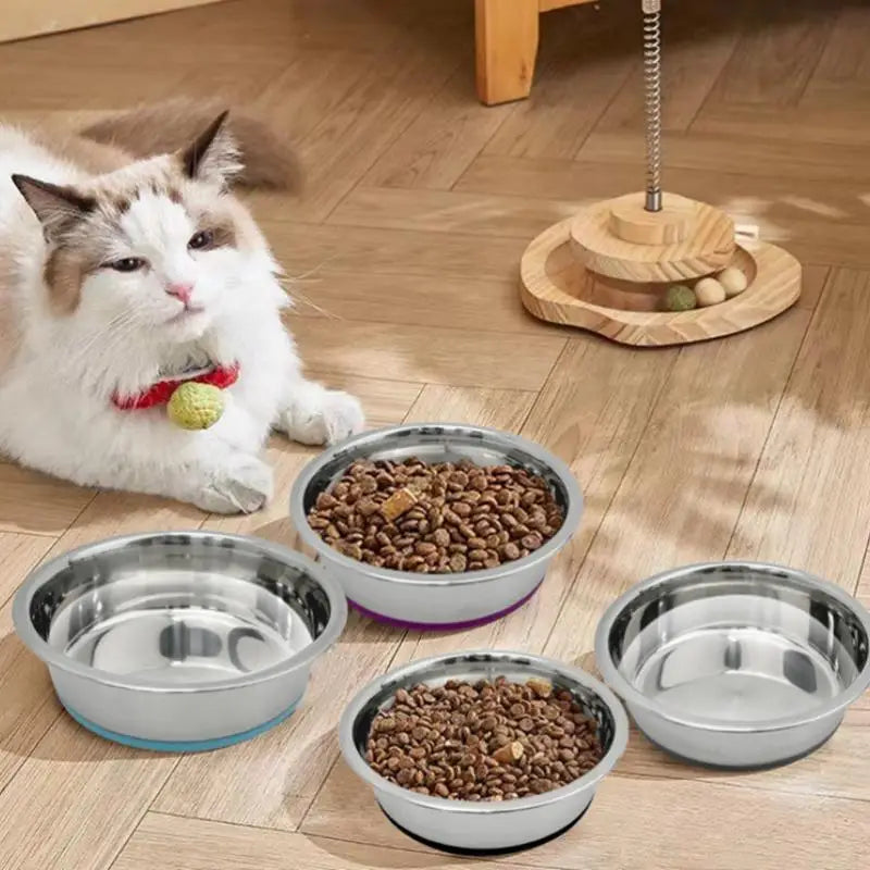 Pet Stainless Steel Bowl