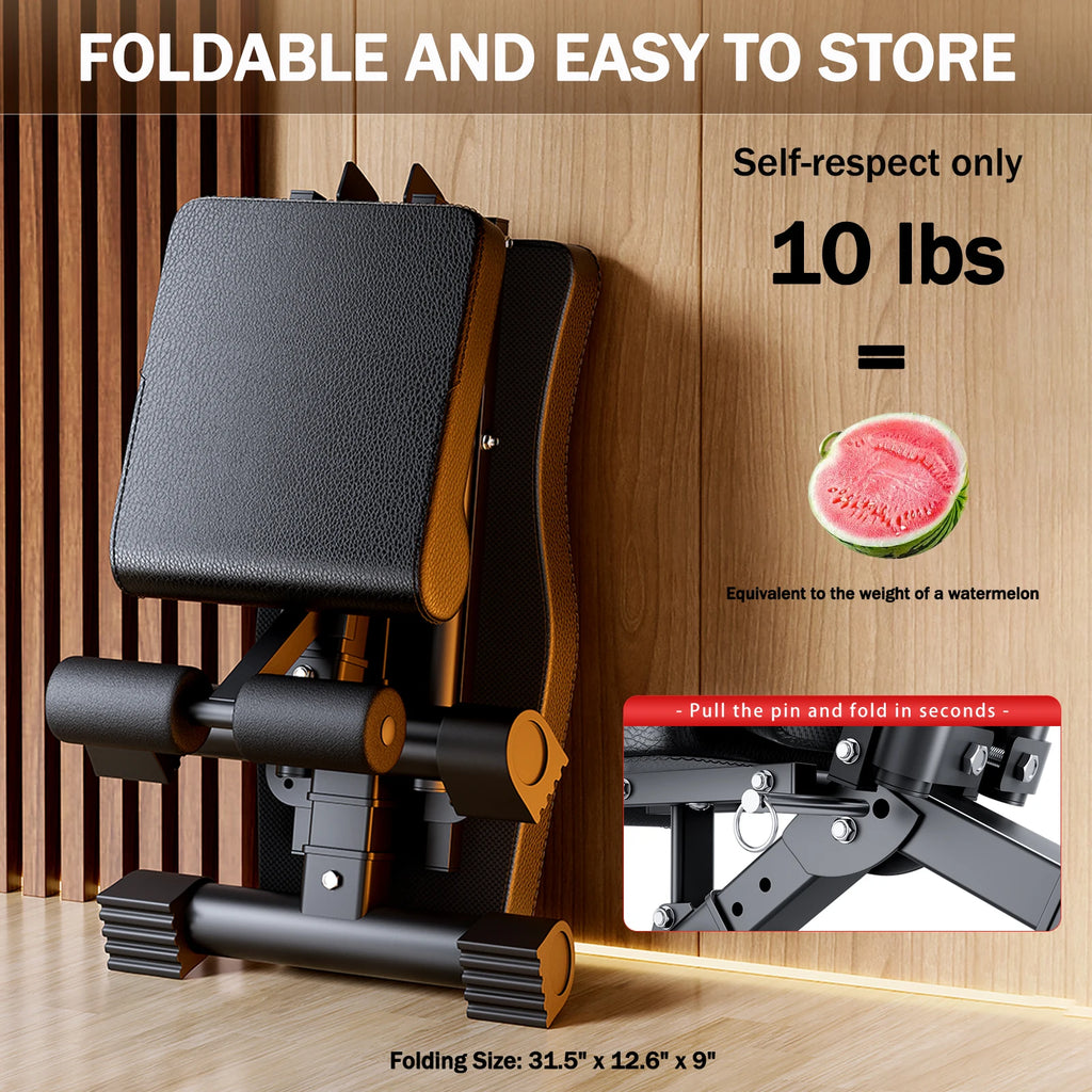 Strength Training Dumbbell Bench