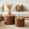 Wooden Coffee Table Set of 2,