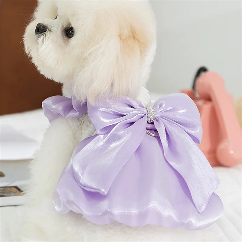 Adorable Small Dog Dress