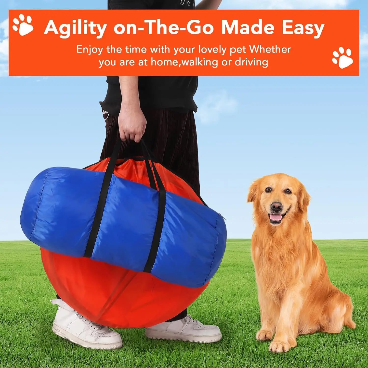 87 Pcs Dog Agile Training Equipment