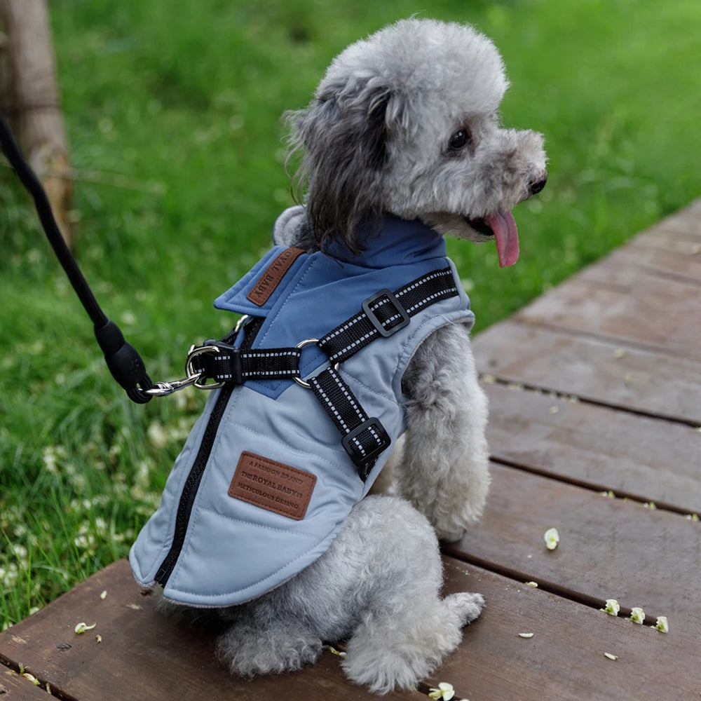 Dog Jacket With Harness