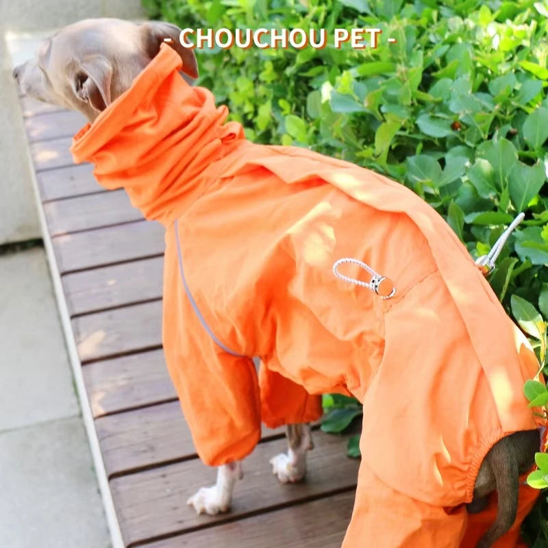 Raincoat for Autumn/Winter