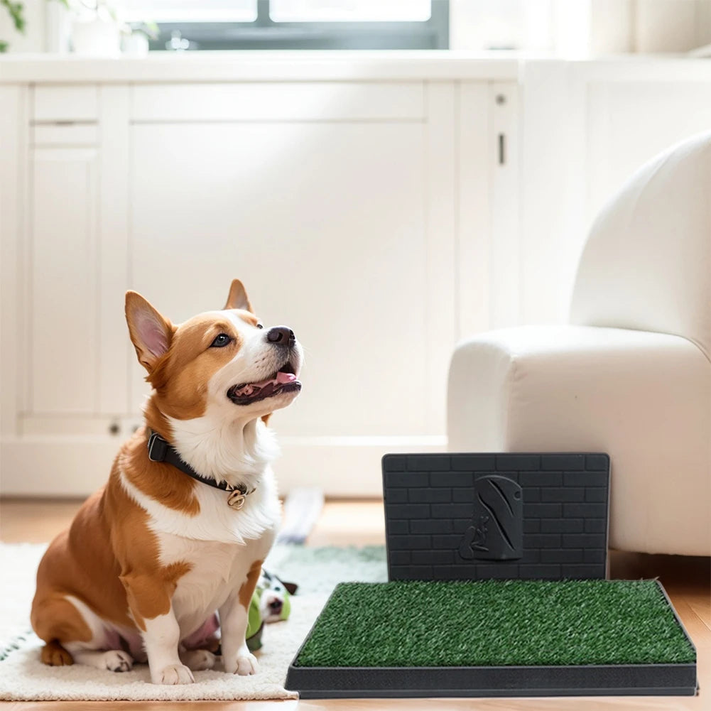 Reusable Indoor/Porch Dog Potty