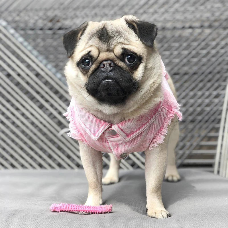 Dog Denim Jeans Jacket