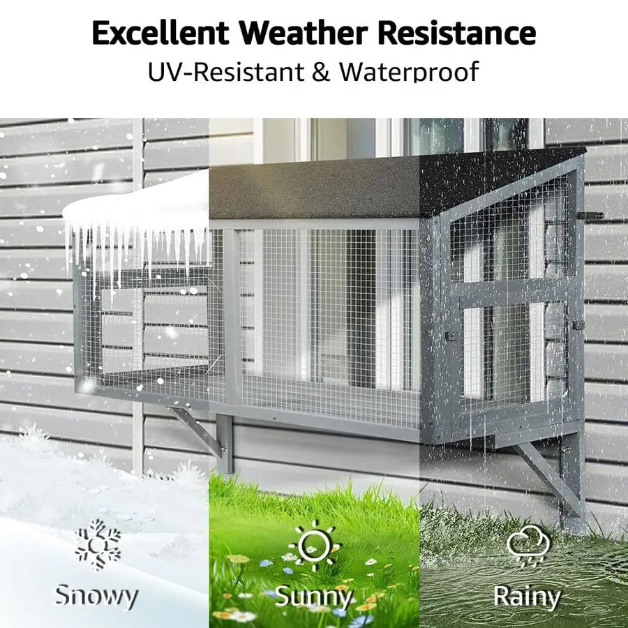 Cat Window Perch House