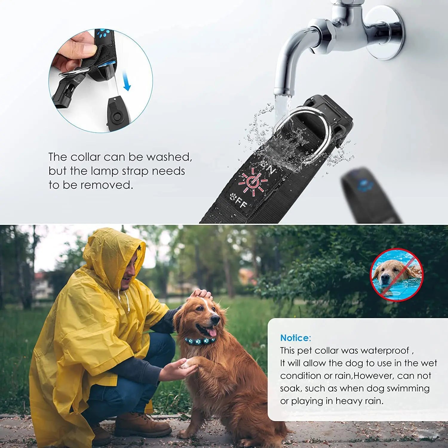 LED Dog Collar/Rainproof