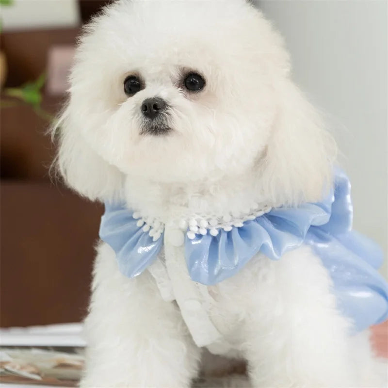 Adorable Small Dog Dress