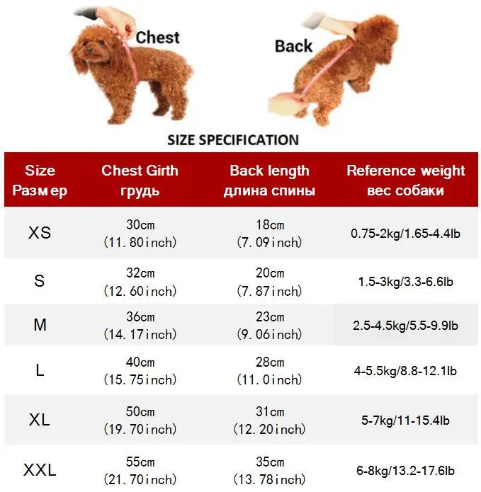 Dog Jeans Jacket/Cowboy T-Shirt