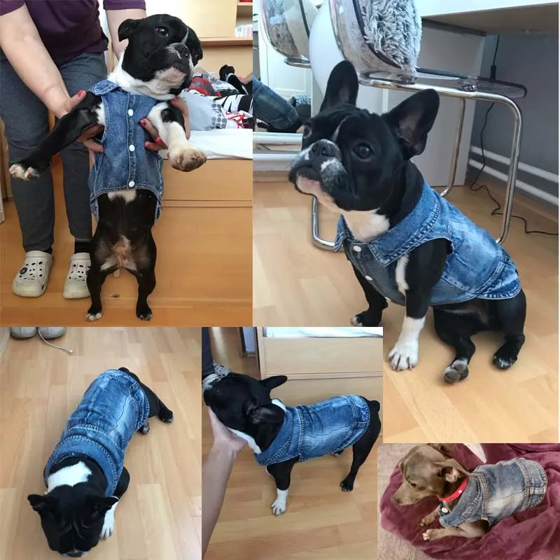 Dog Jeans Jacket/Cowboy T-Shirt