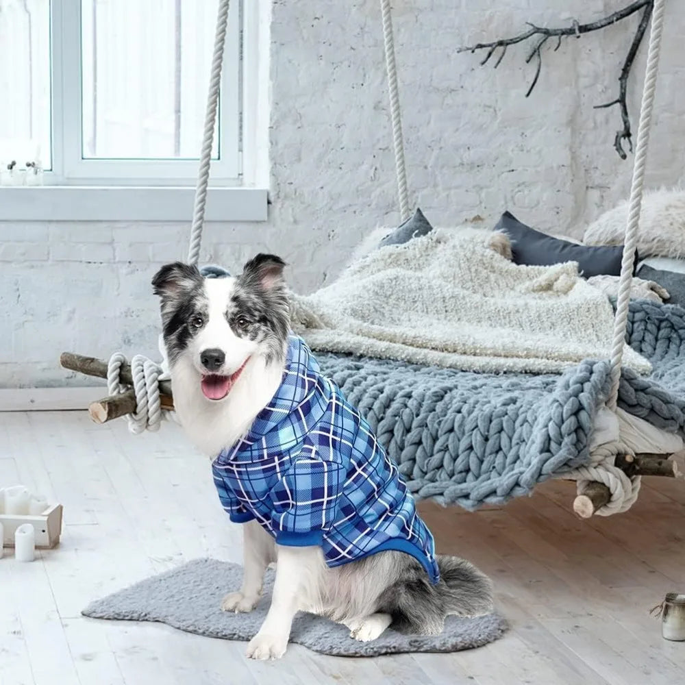 Dog Hoodie - Leash Hole