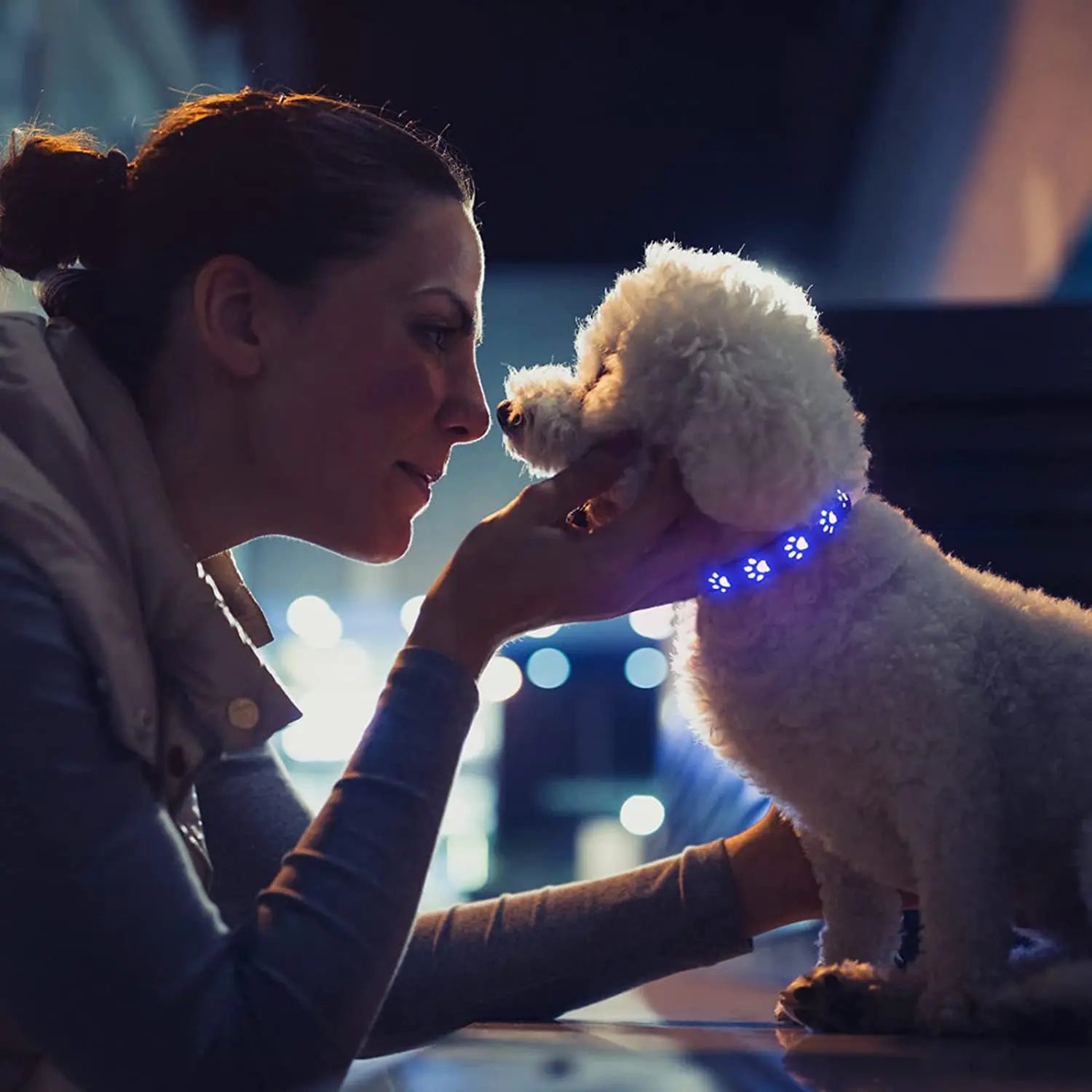 LED Dog Collar/Rainproof