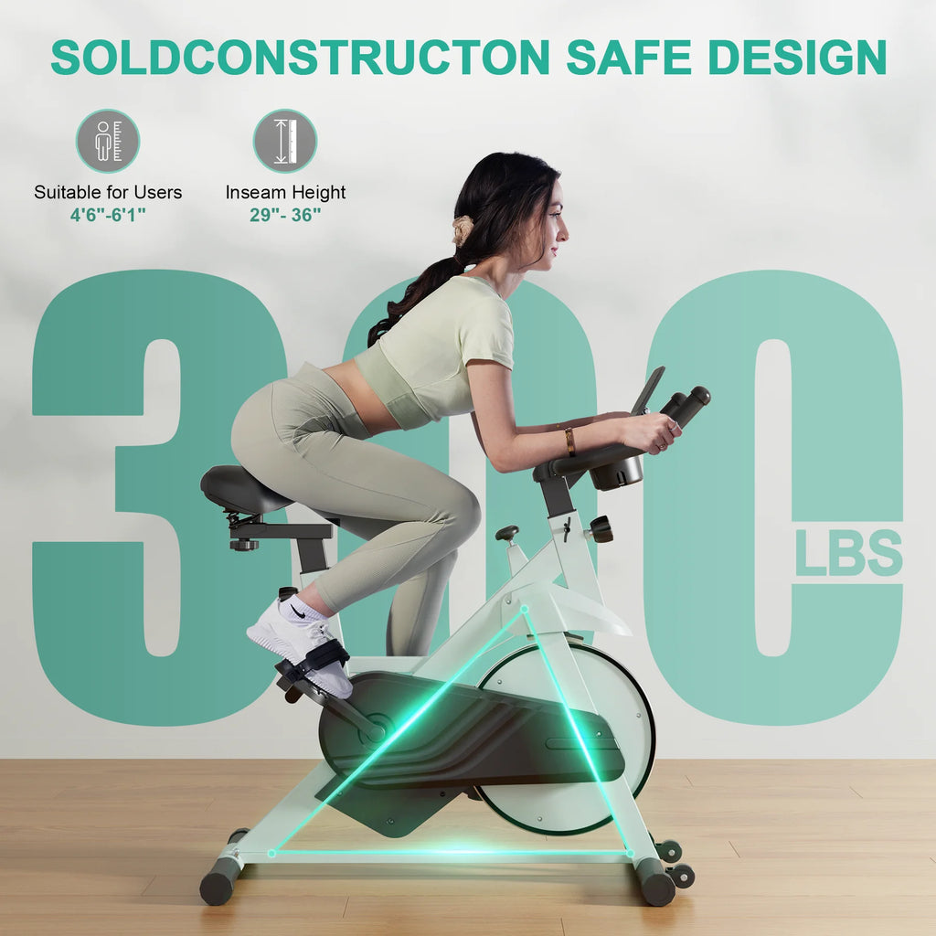 Low Noise Workout Cycling Bike