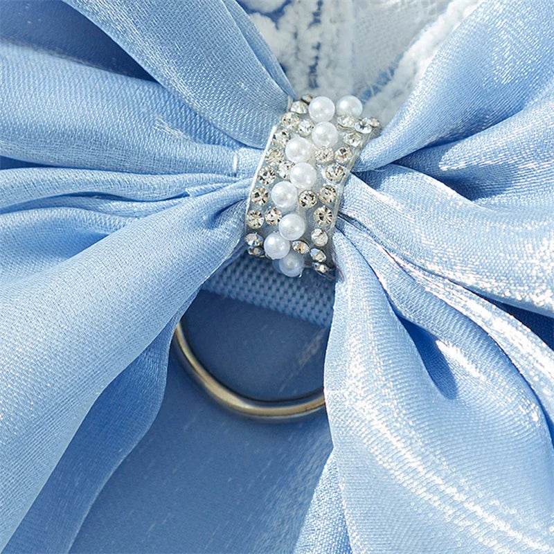 Adorable Small Dog Dress