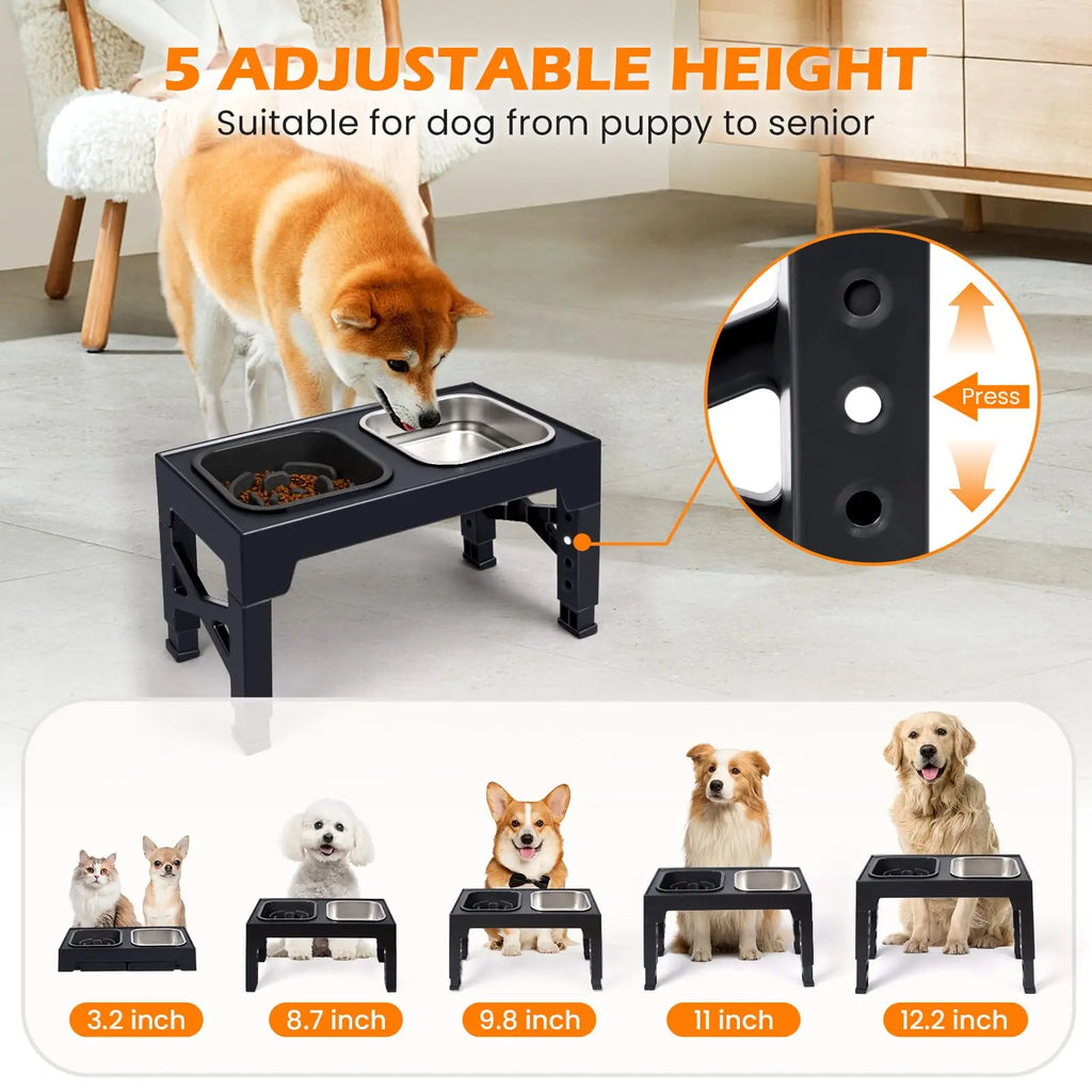 Elevated Slow Feeder Dog Bowls