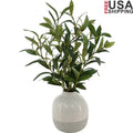 Artificial Olive Plant in Two-Tone Vase