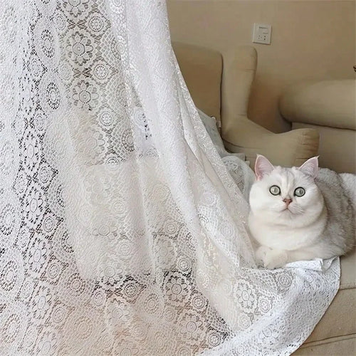 2pc lace embroidered curtains