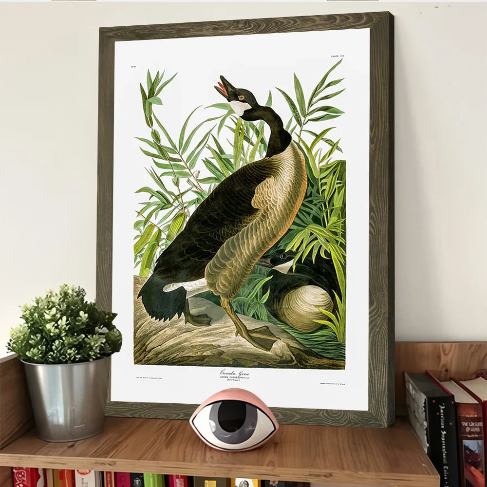 Canada Goose Printed Canvas