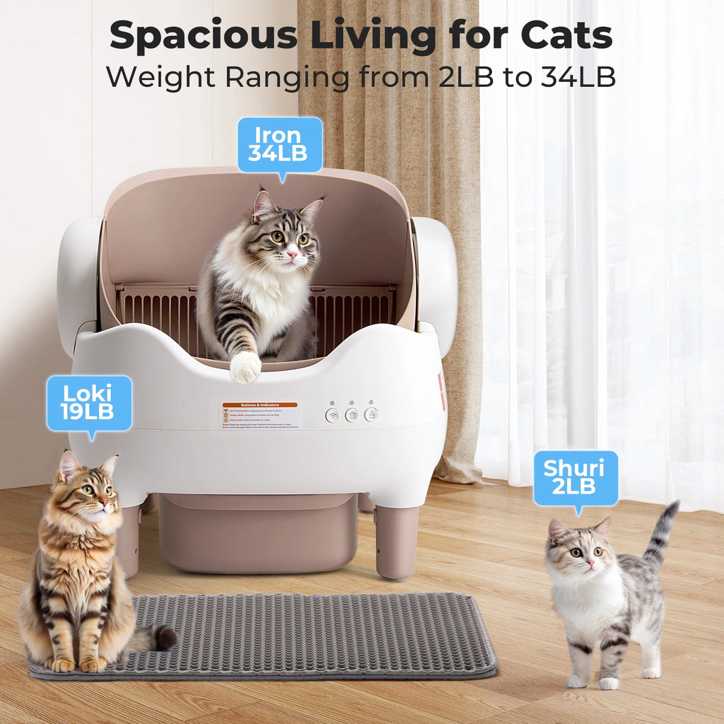 Self Cleaning Litter Box,