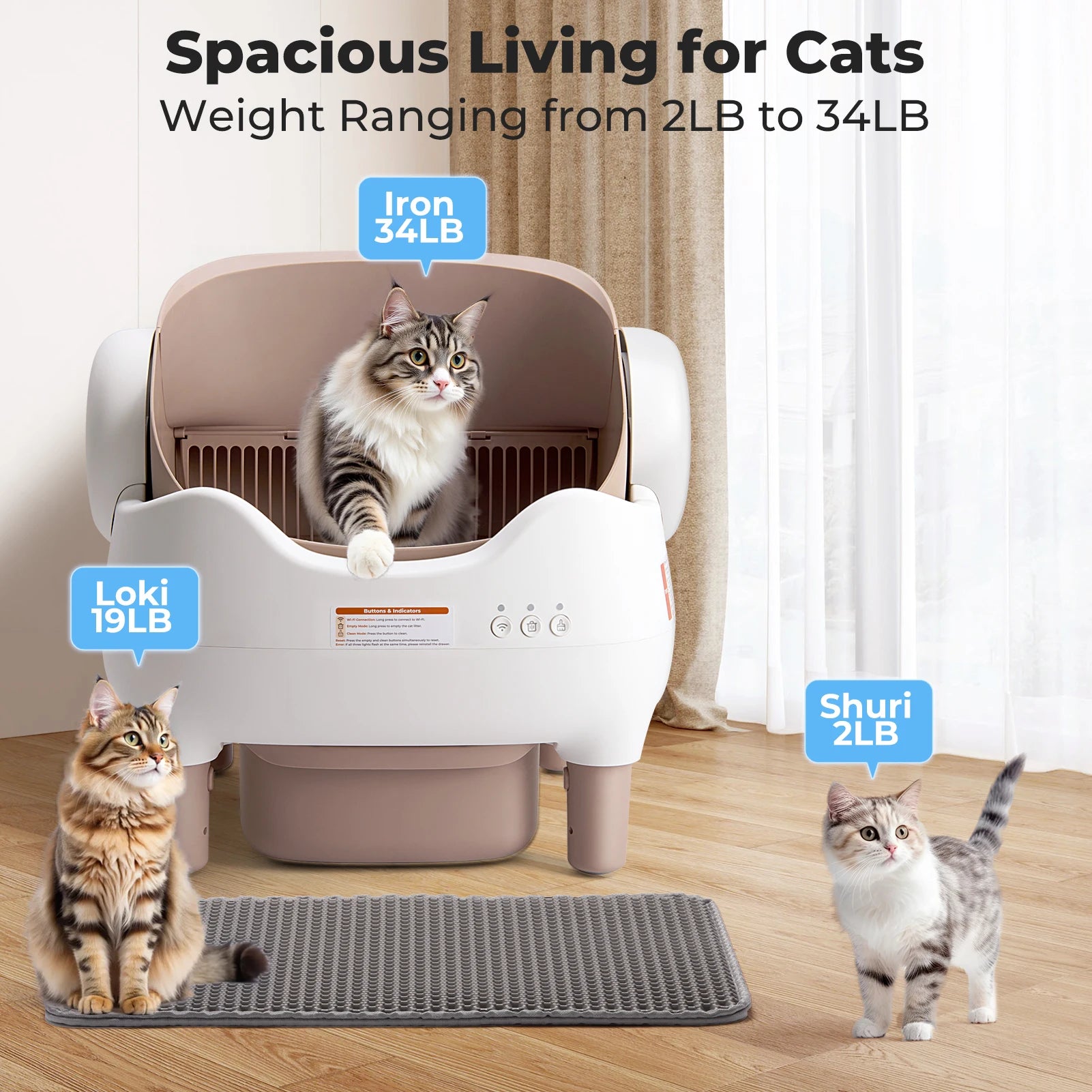 Self Cleaning Litter Box,