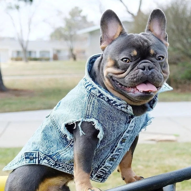 Dog Denim Jeans Jacket
