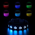 LED Dog Collar/Rainproof