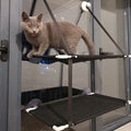 Cat Bed Hanging Window Double-Layer
