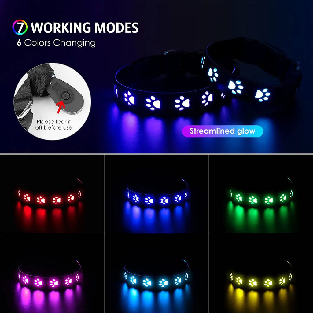 LED Dog Collar/Rainproof