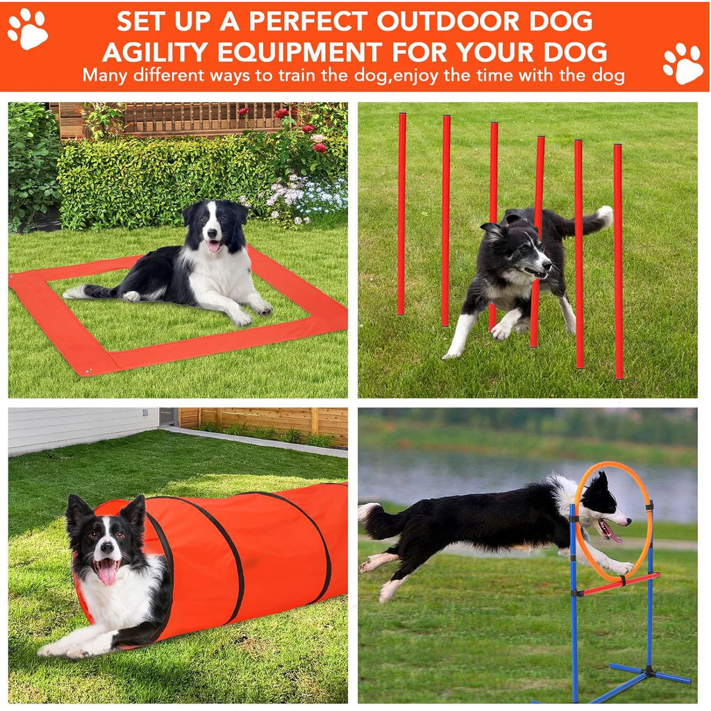 87 Pcs Dog Agile Training Equipment