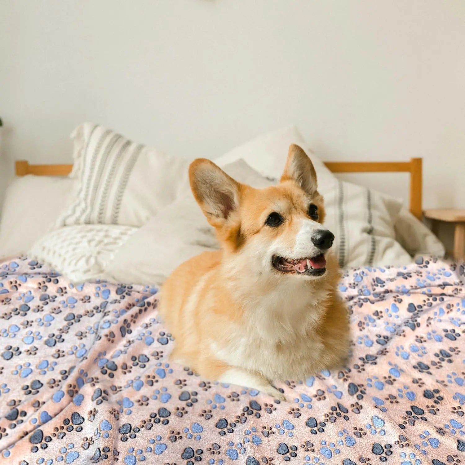 3 pc Pet Mat Sleeping Pad