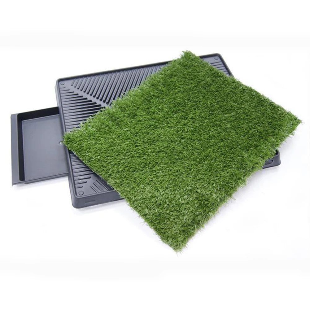 Porch Dog Potty Artificial Grass