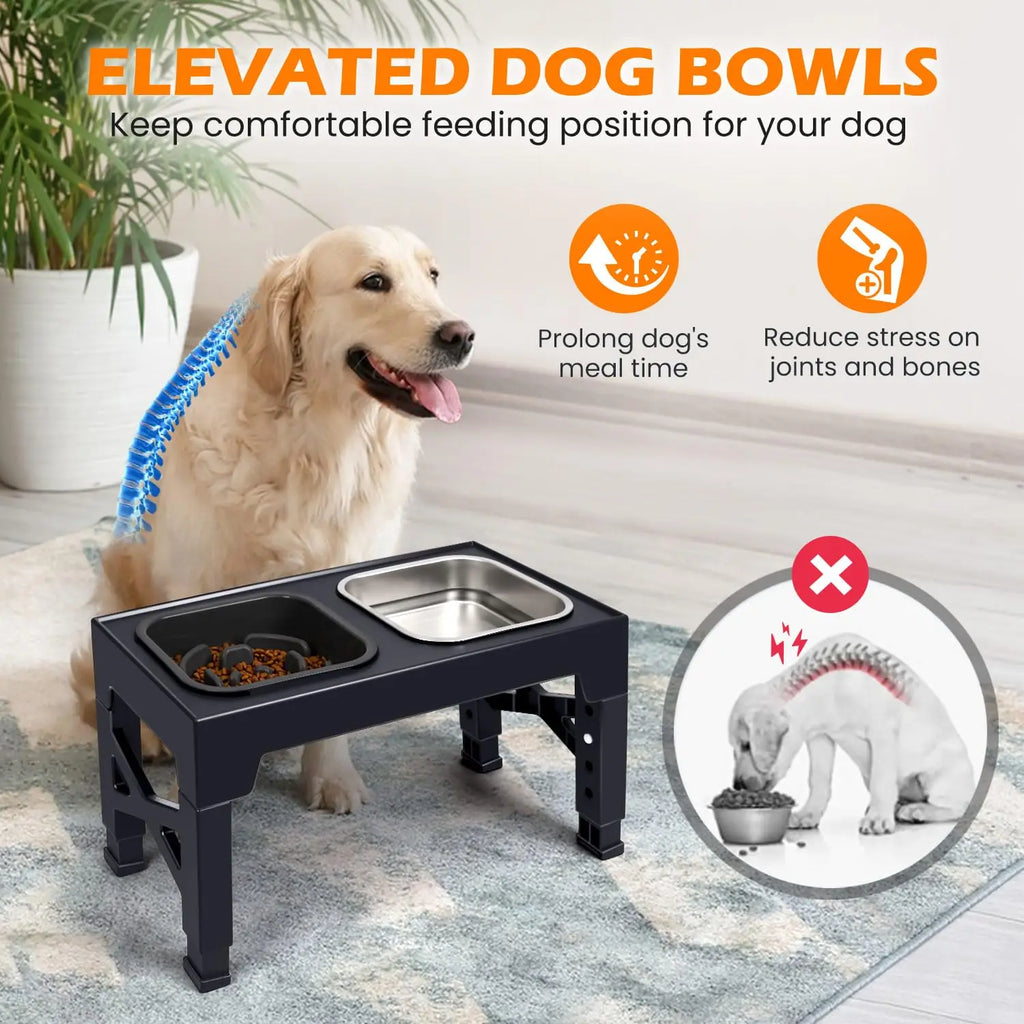 Elevated Slow Feeder Dog Bowls