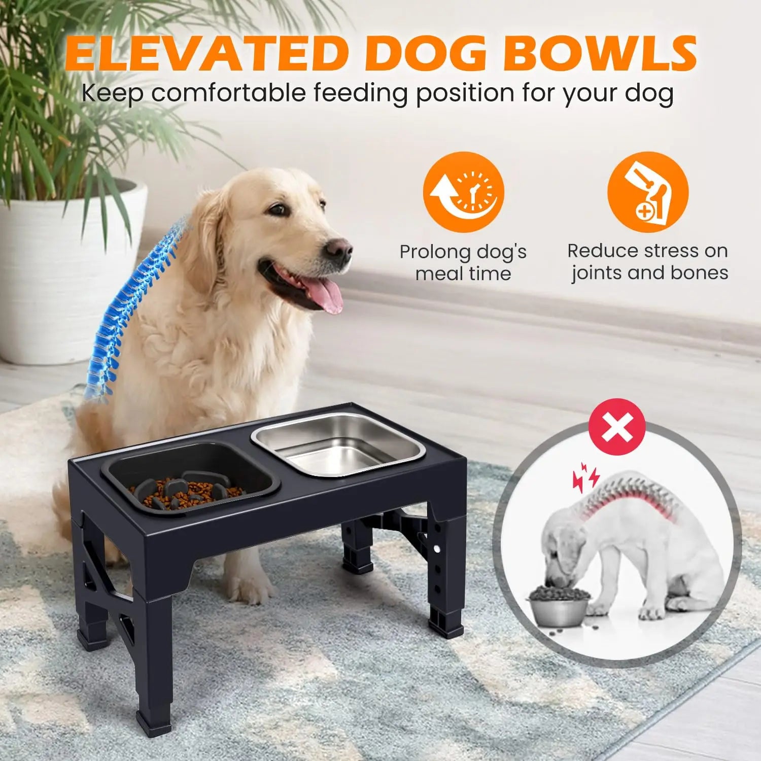 Elevated Slow Feeder Dog Bowls