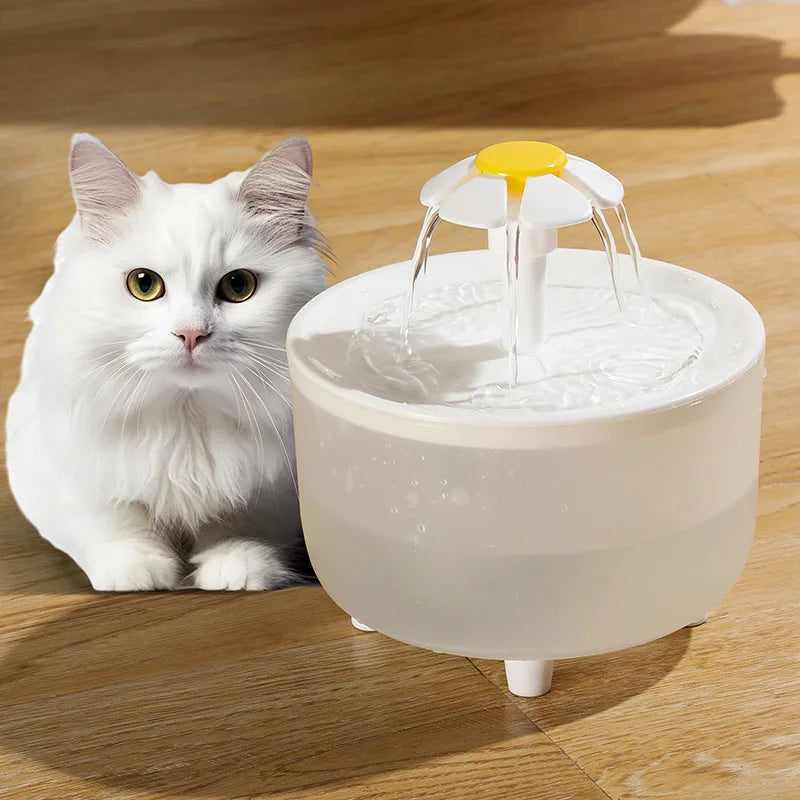 Filter Pet Drinking Dispenser