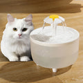 Filter Pet Drinking Dispenser