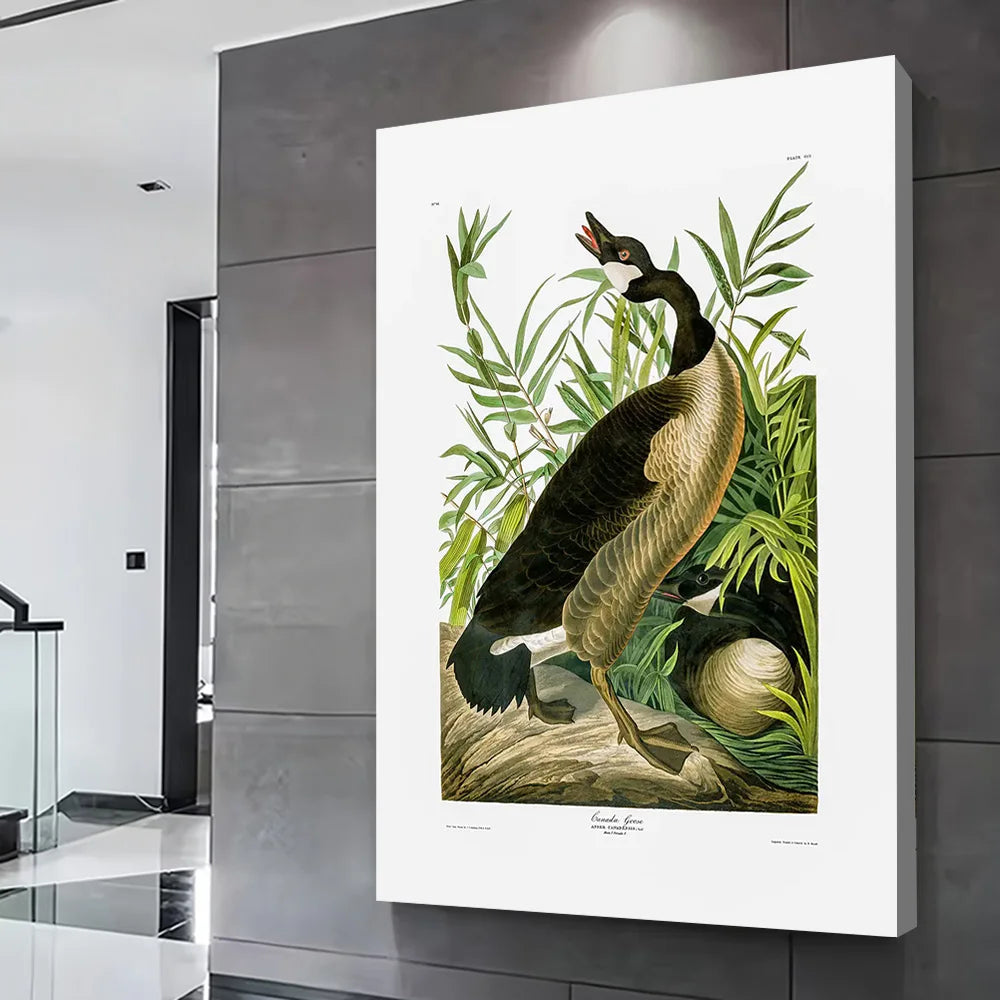 Canada Goose Printed Canvas