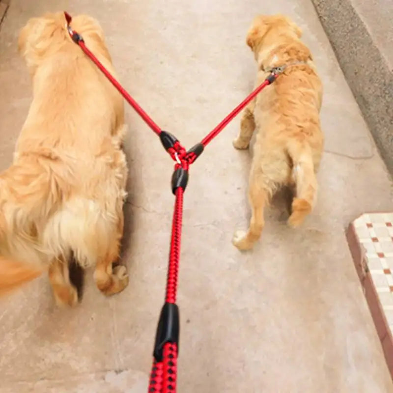 Double Leash 2 Way Couplers Dog