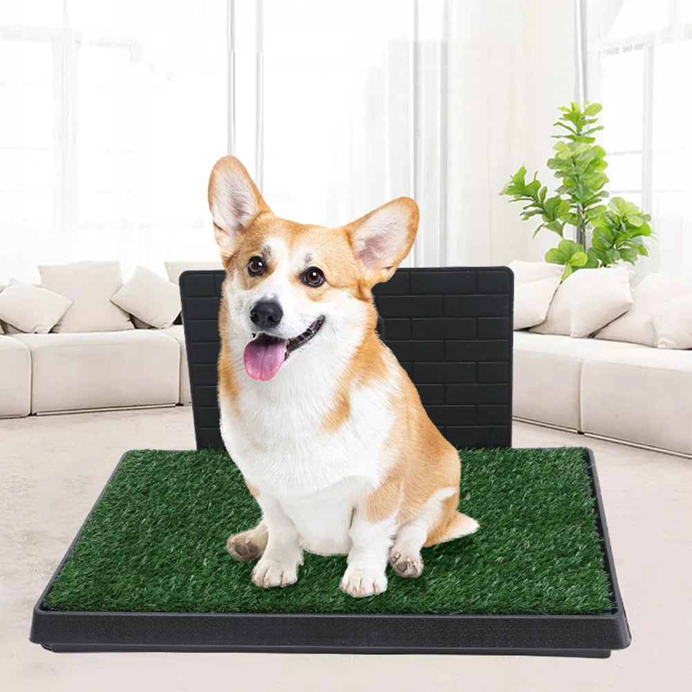 Porch Dog Potty Artificial Grass