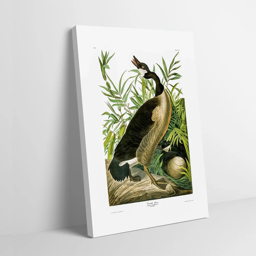 Canada Goose Printed Canvas