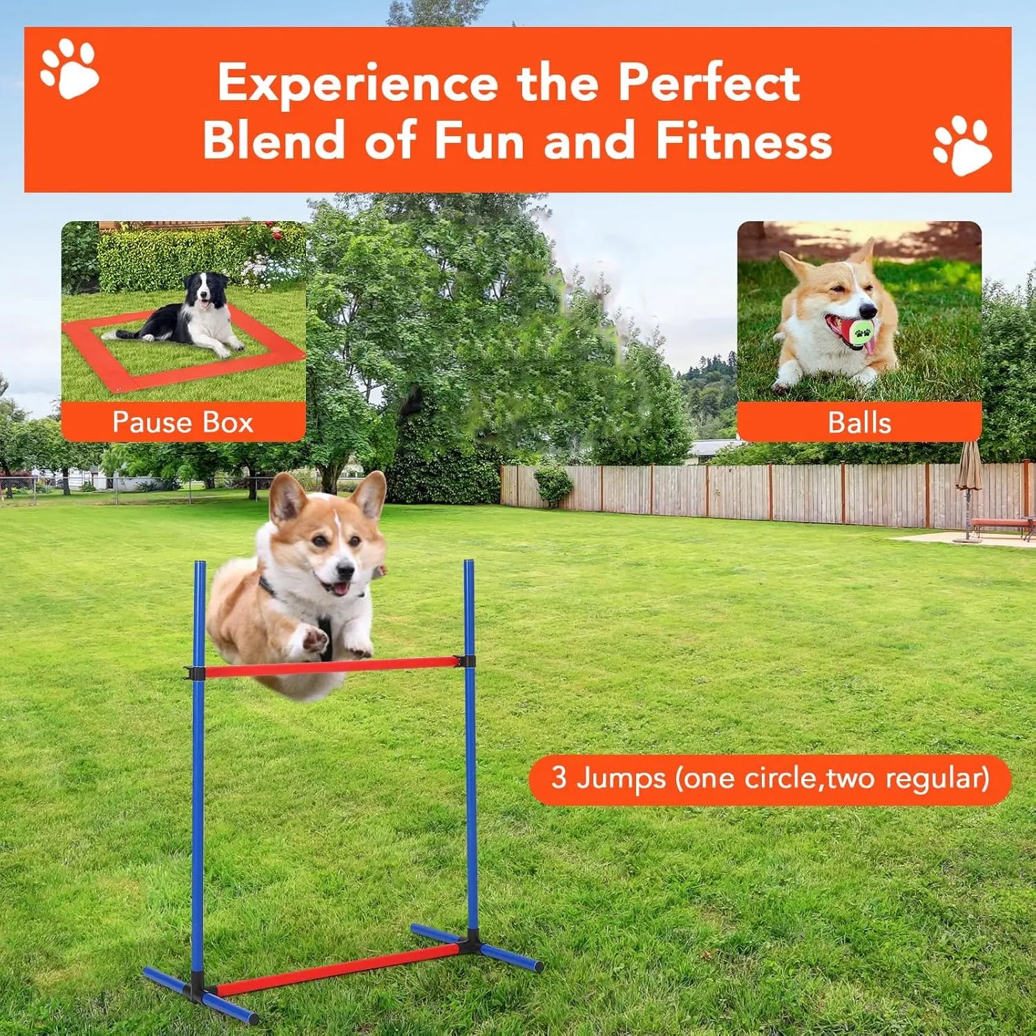 87 Pcs Dog Agile Training Equipment