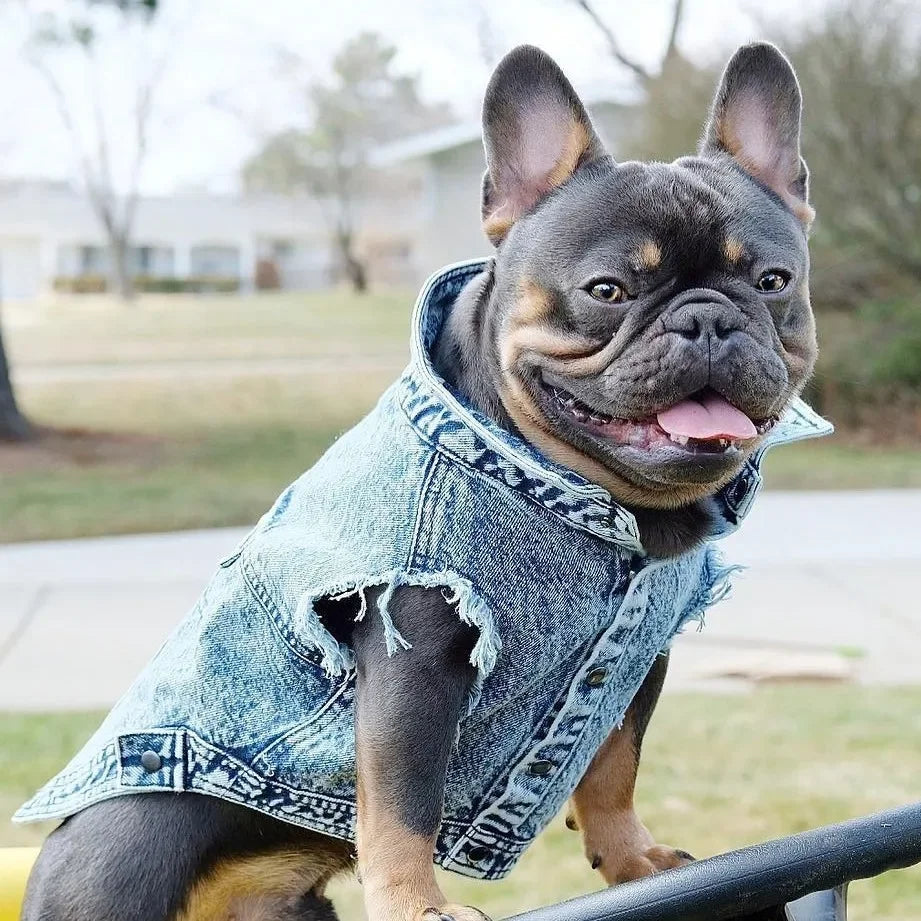 Dog Denim Jeans Jacket