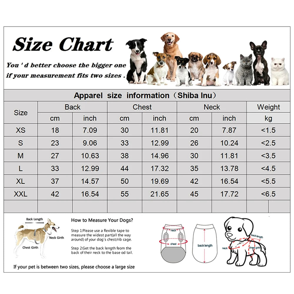 Pet Dog Jacket With Harness