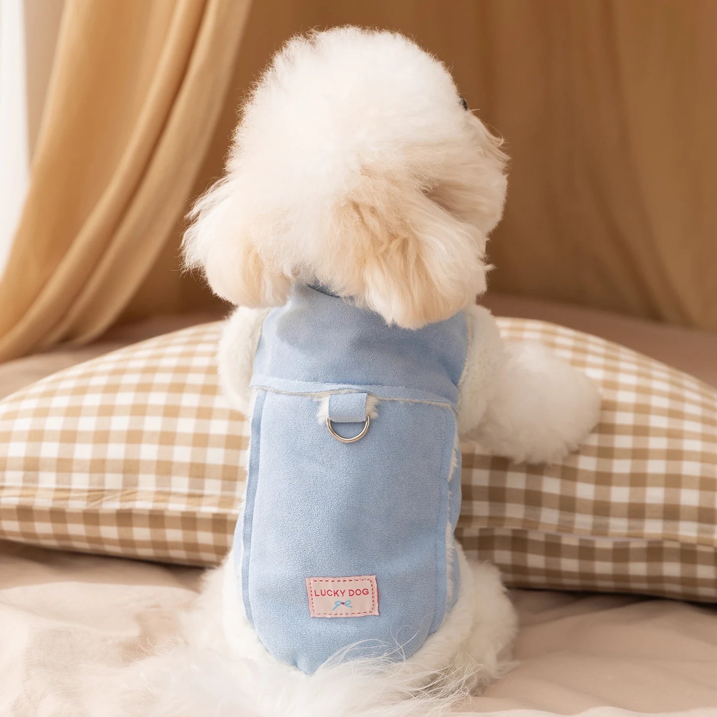 Dog  Jacket w/Traction Buckle