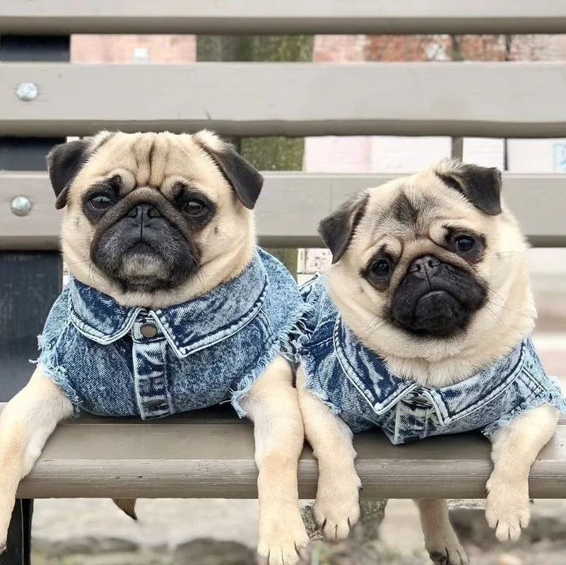 Dog Denim Jeans Jacket