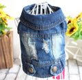 Dog Jeans Jacket/Cowboy T-Shirt